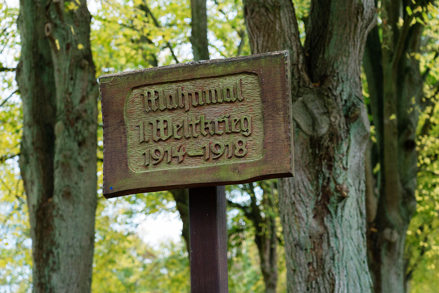 2021-11-01 17-10 DSC00486