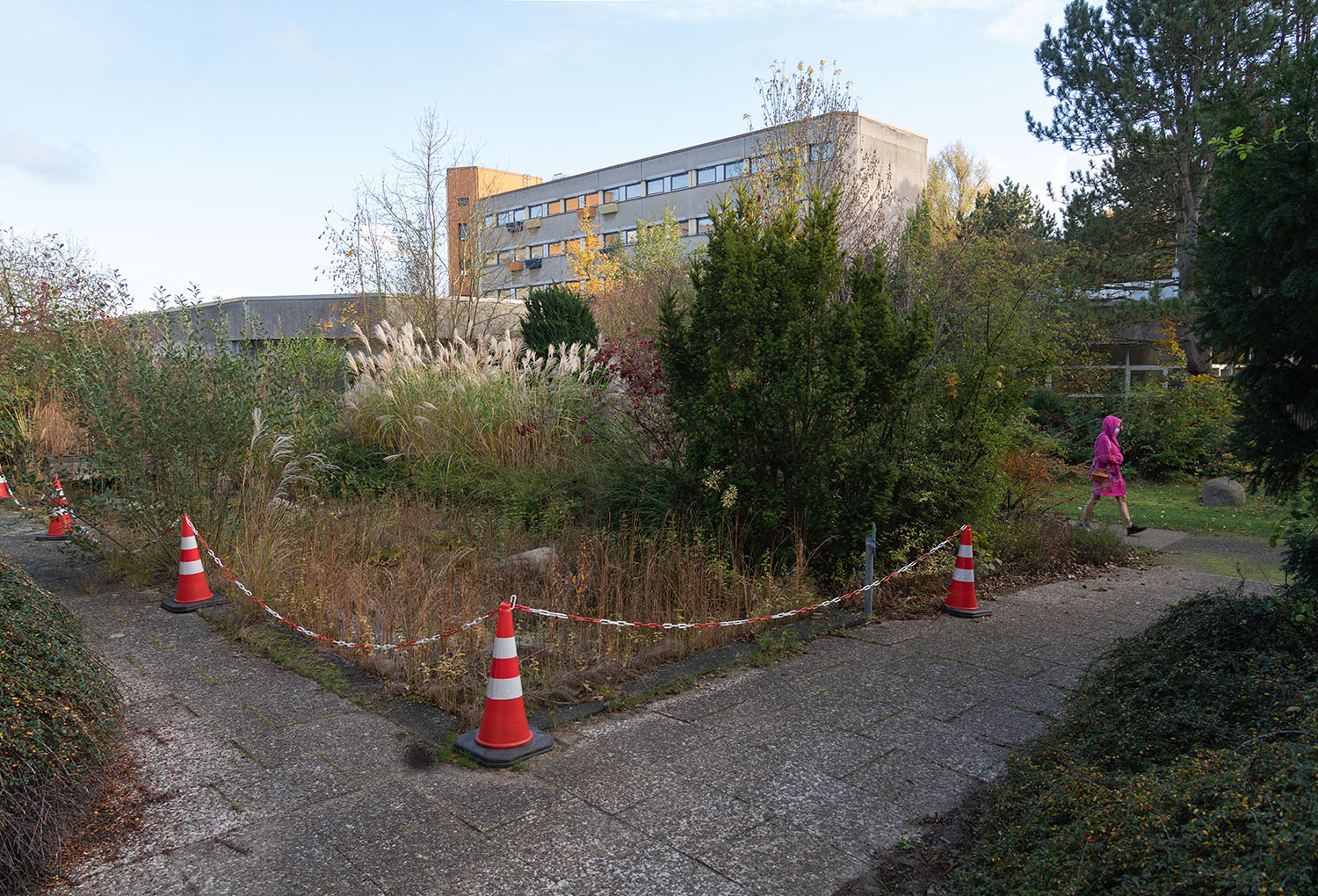 2021-11-02 15-54 DSC00508