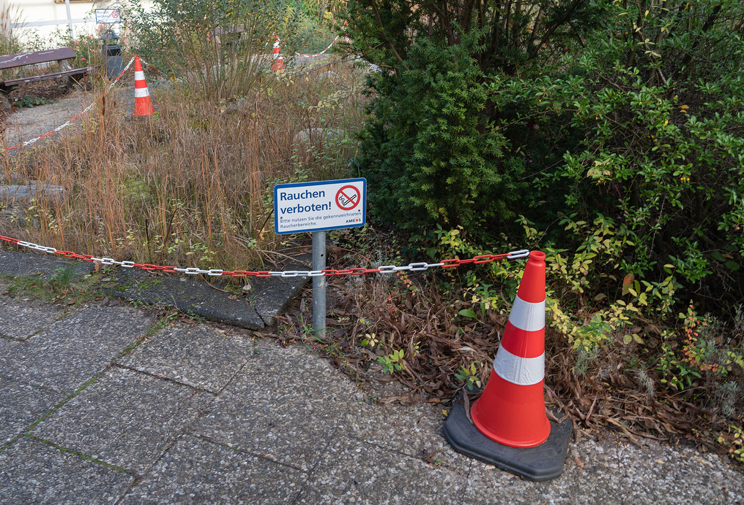 2021-11-02 15-56 DSC00510