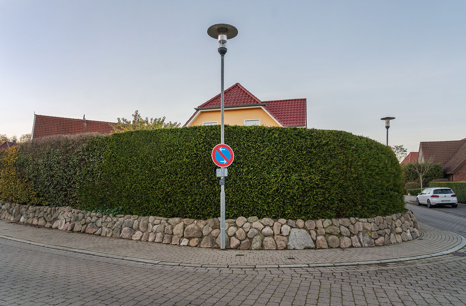 2021-11-09 17-11 DSC00581