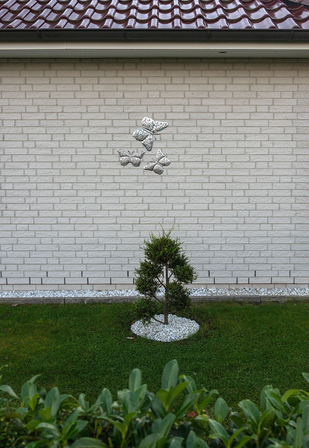 2021-11-09 17-25 DSC00592