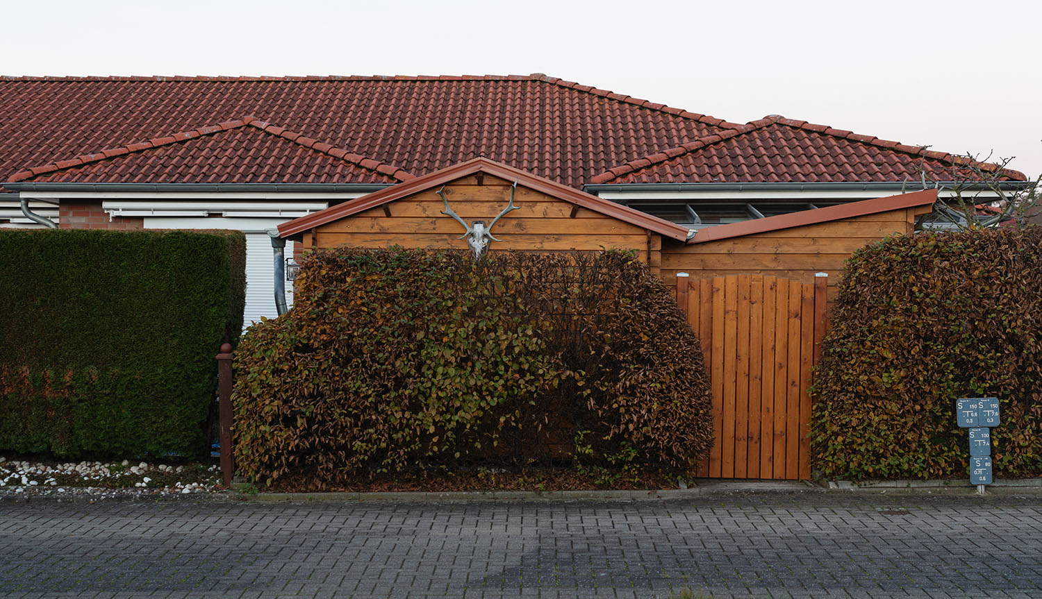 2021-11-09 17-28 DSC00595