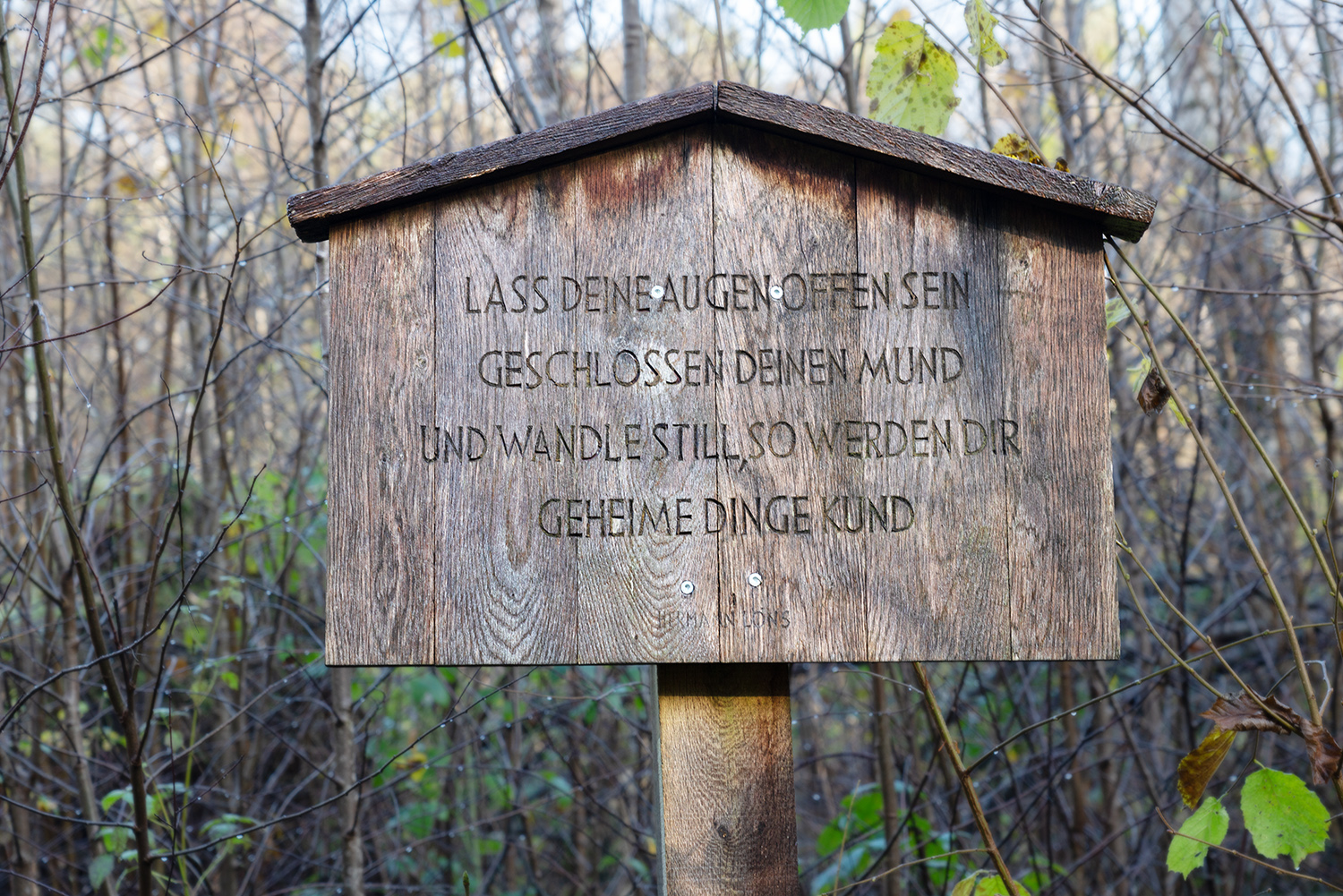 2021-11-10 12-11 DSC00620