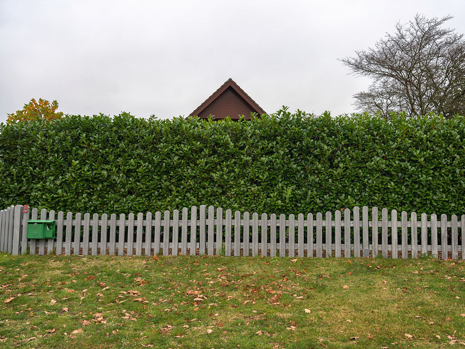 2021-11-10 15-01 DSC00664