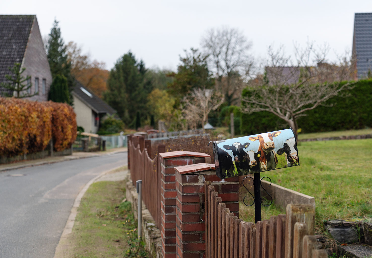 2021-11-10 15-20 DSC00678