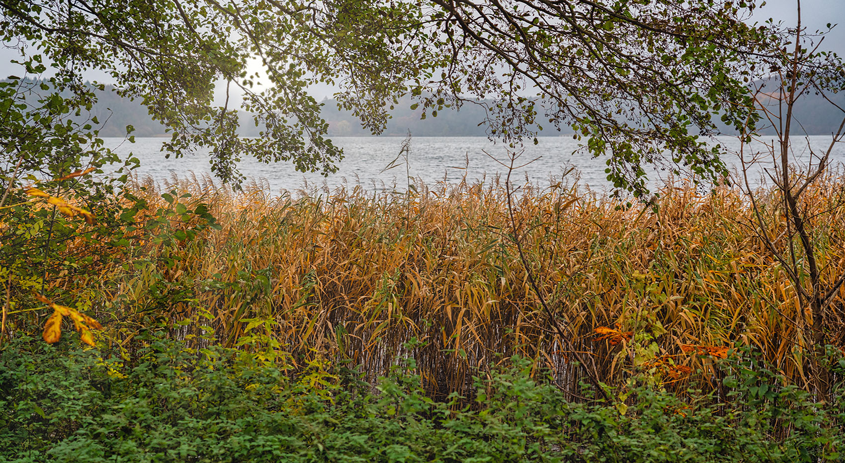 2021-11-17 10-37 DSC00803